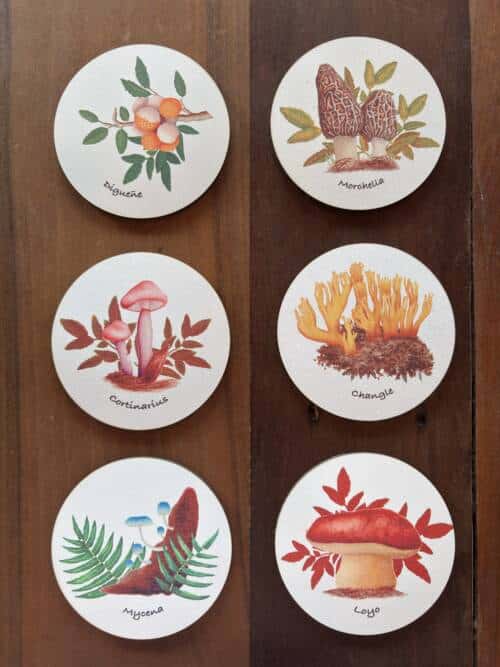 Posavasos Hongos de Chile