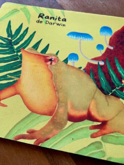 Mouse pad Ranita de Darwin