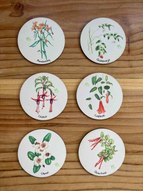 Posavasos Flora chilena