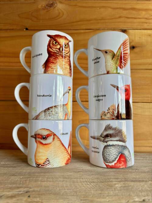 Set de tazas de cerámica