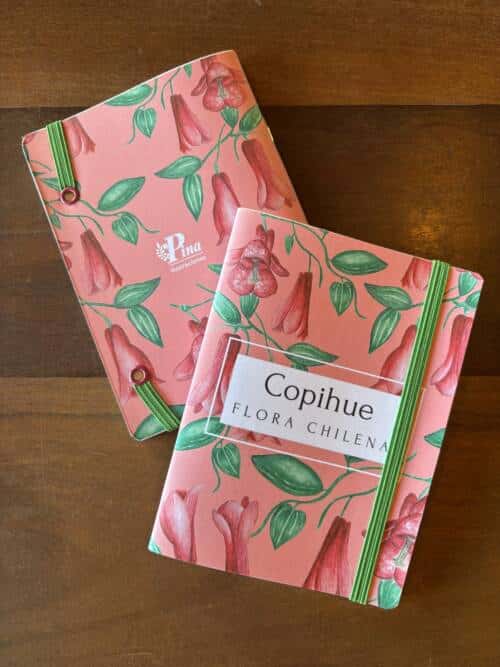 Libreta Copihue