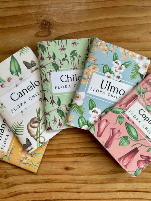Libretas Botánica chilena