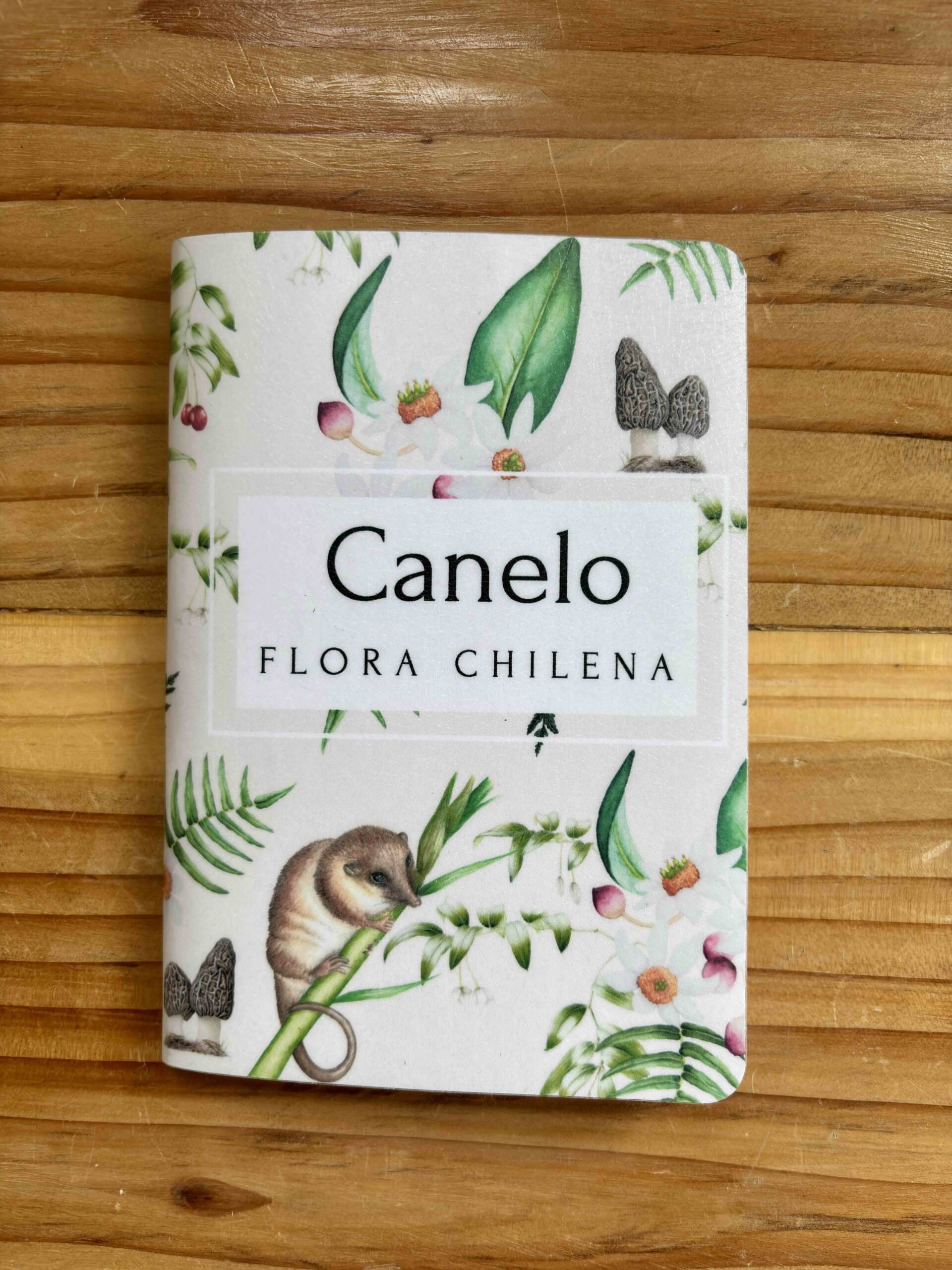 Libretas Botánica chilena - Imagen 4