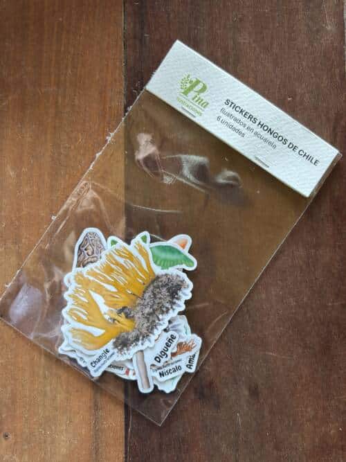 Stickers Hongos de Chile