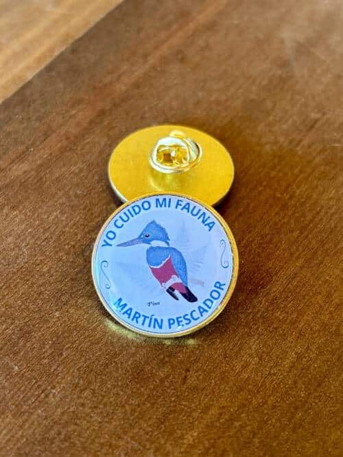 Pin Martín pescador