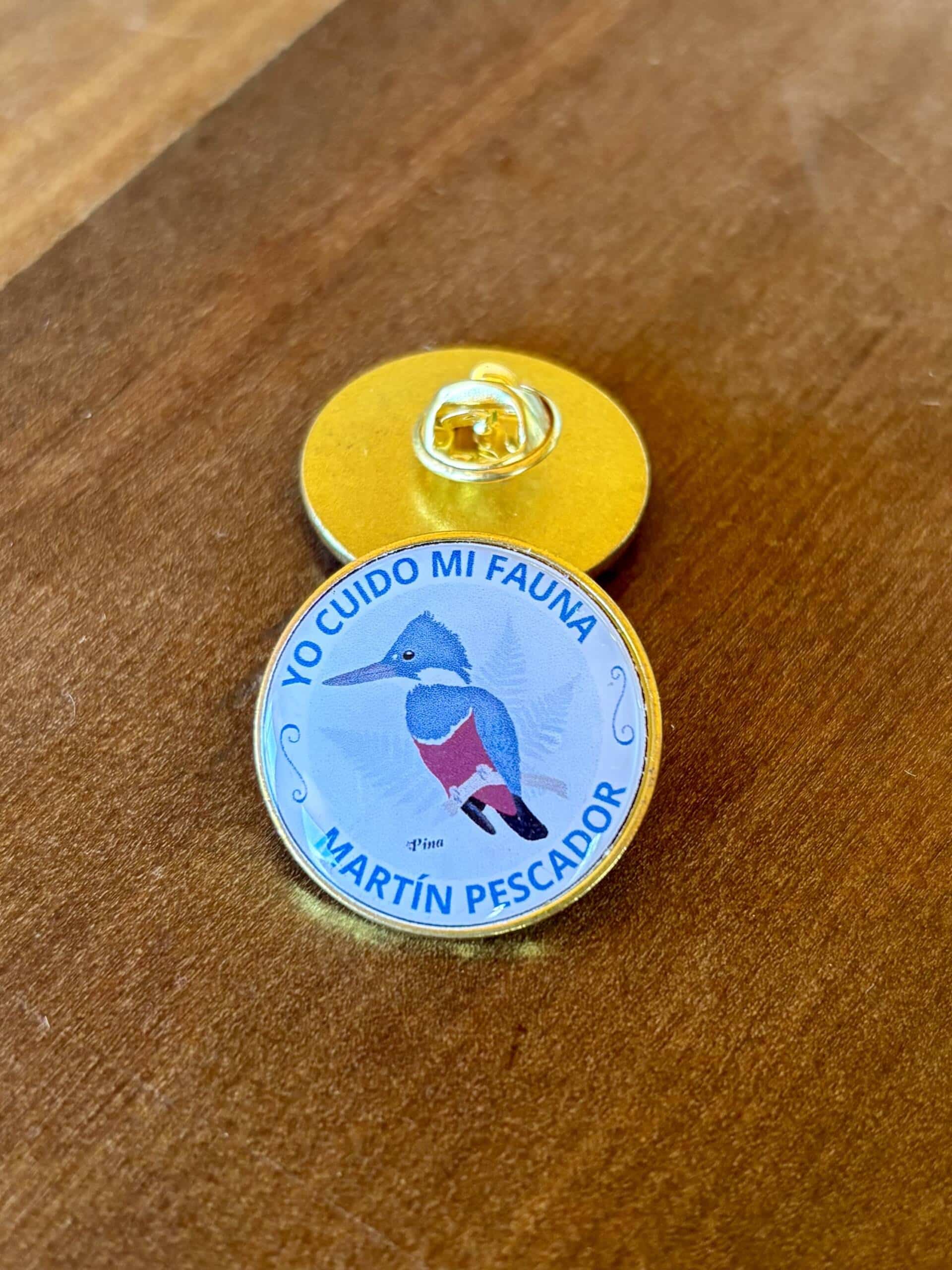 Pin Martín pescador