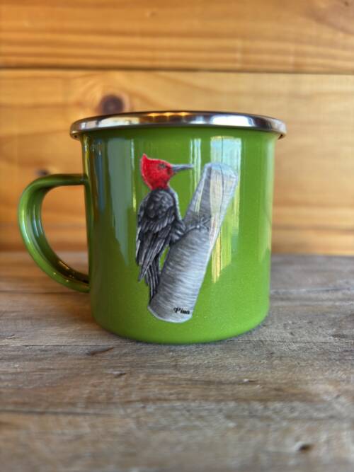 Matero Carpintero negro