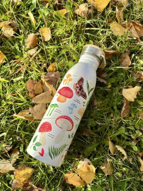 Botella Fungi