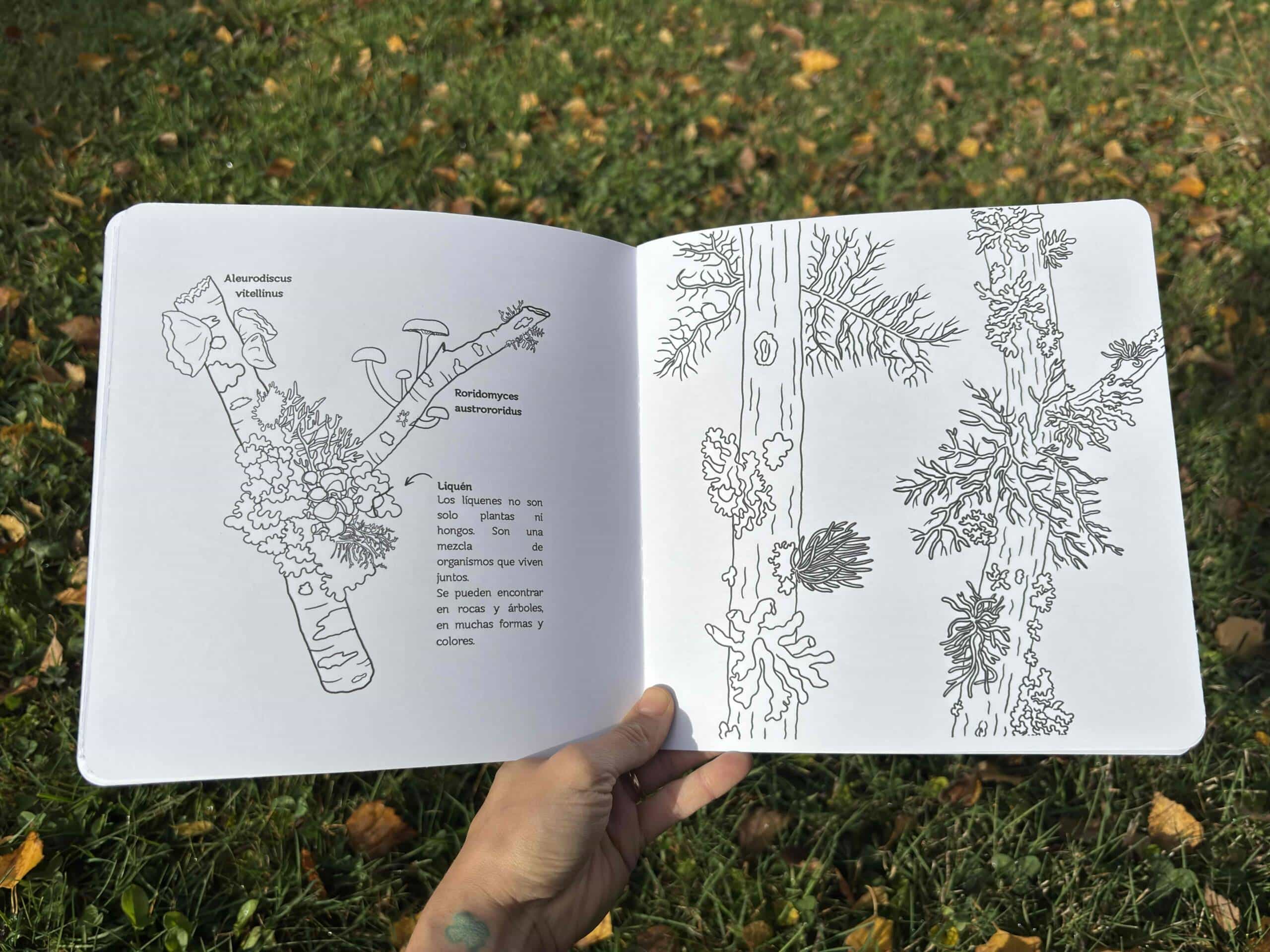 Libro de actividades: Otoño - Imagen 4