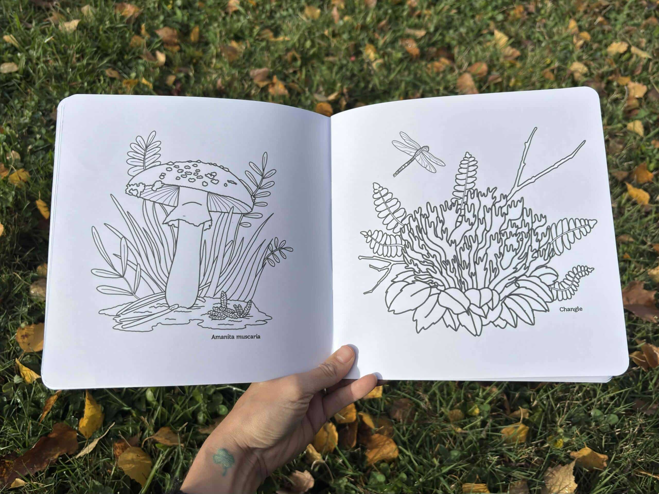 Libro de actividades: Otoño - Imagen 5