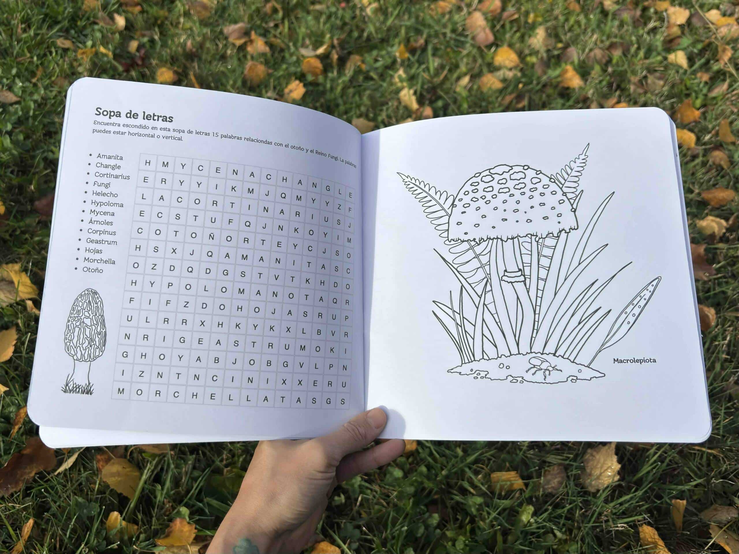 Libro de actividades: Otoño - Imagen 6