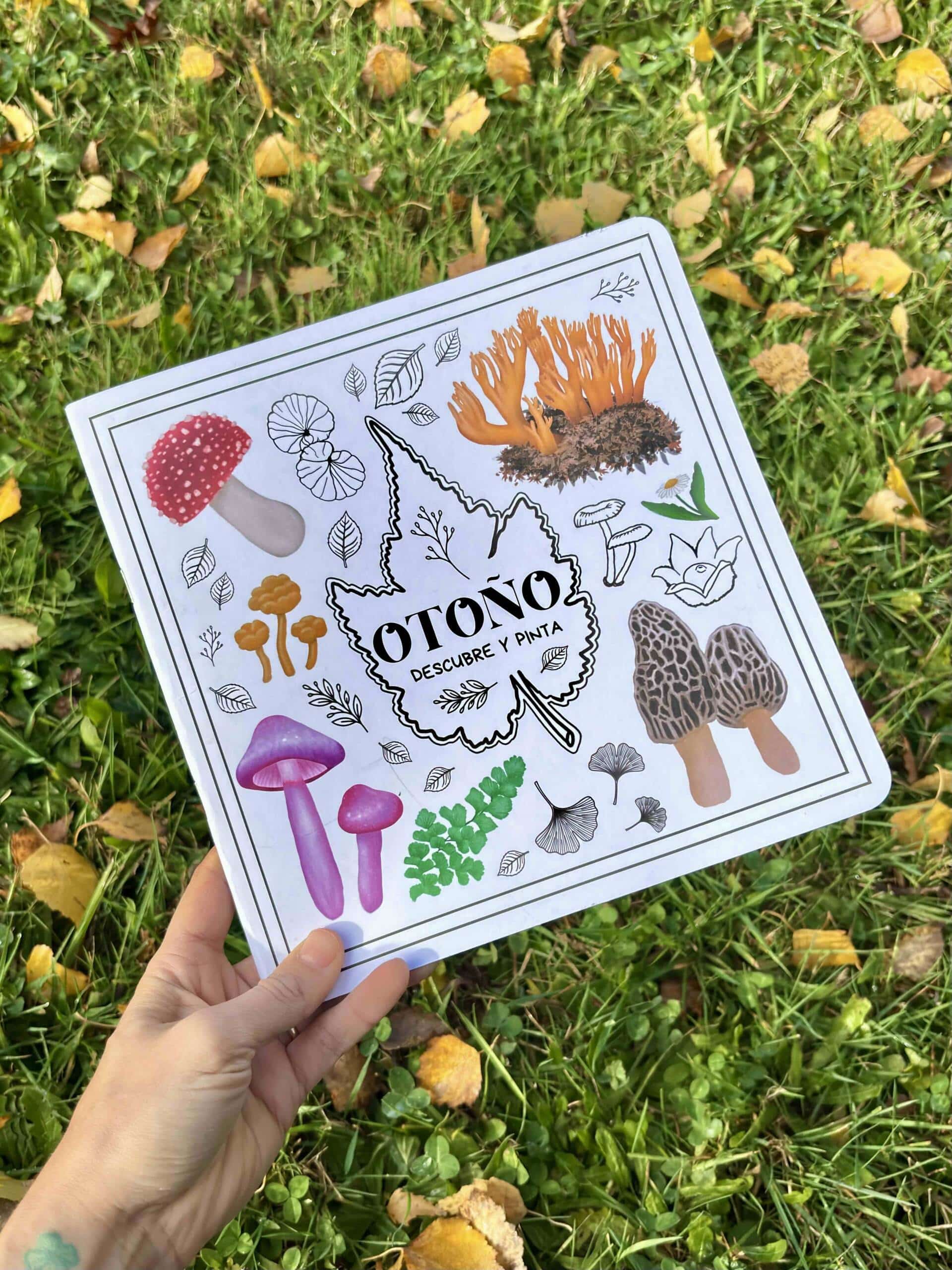 Libro de actividades: Otoño