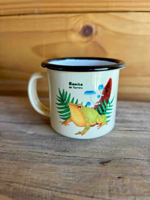 Matero Ranita de Darwin