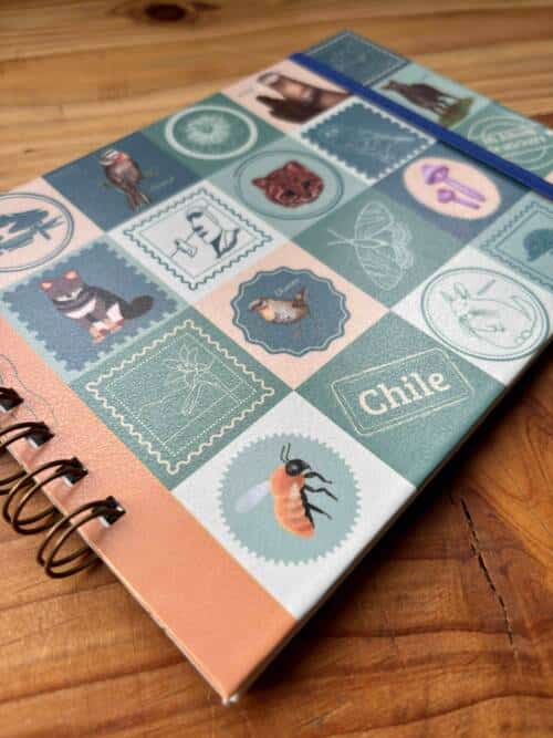 Álbum de Stickers