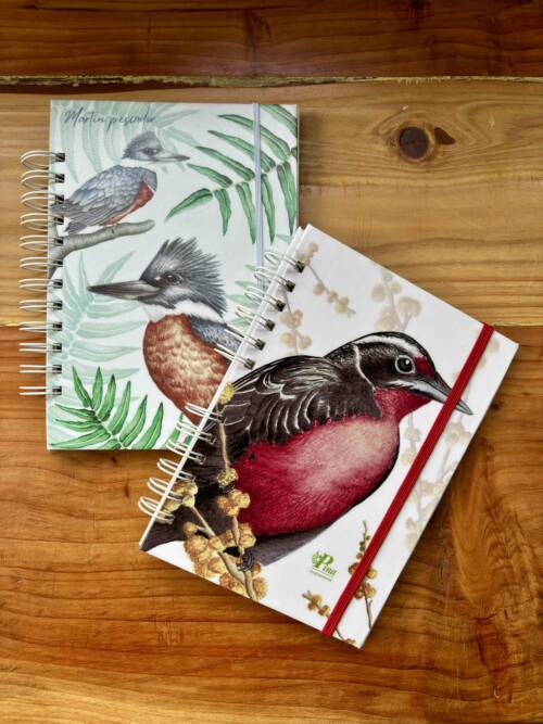 Cuaderno A5 aves chilenas